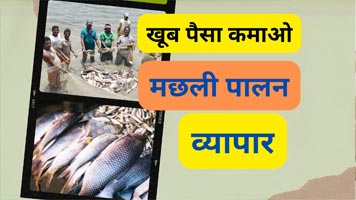 fish ries business | fisheries business in india